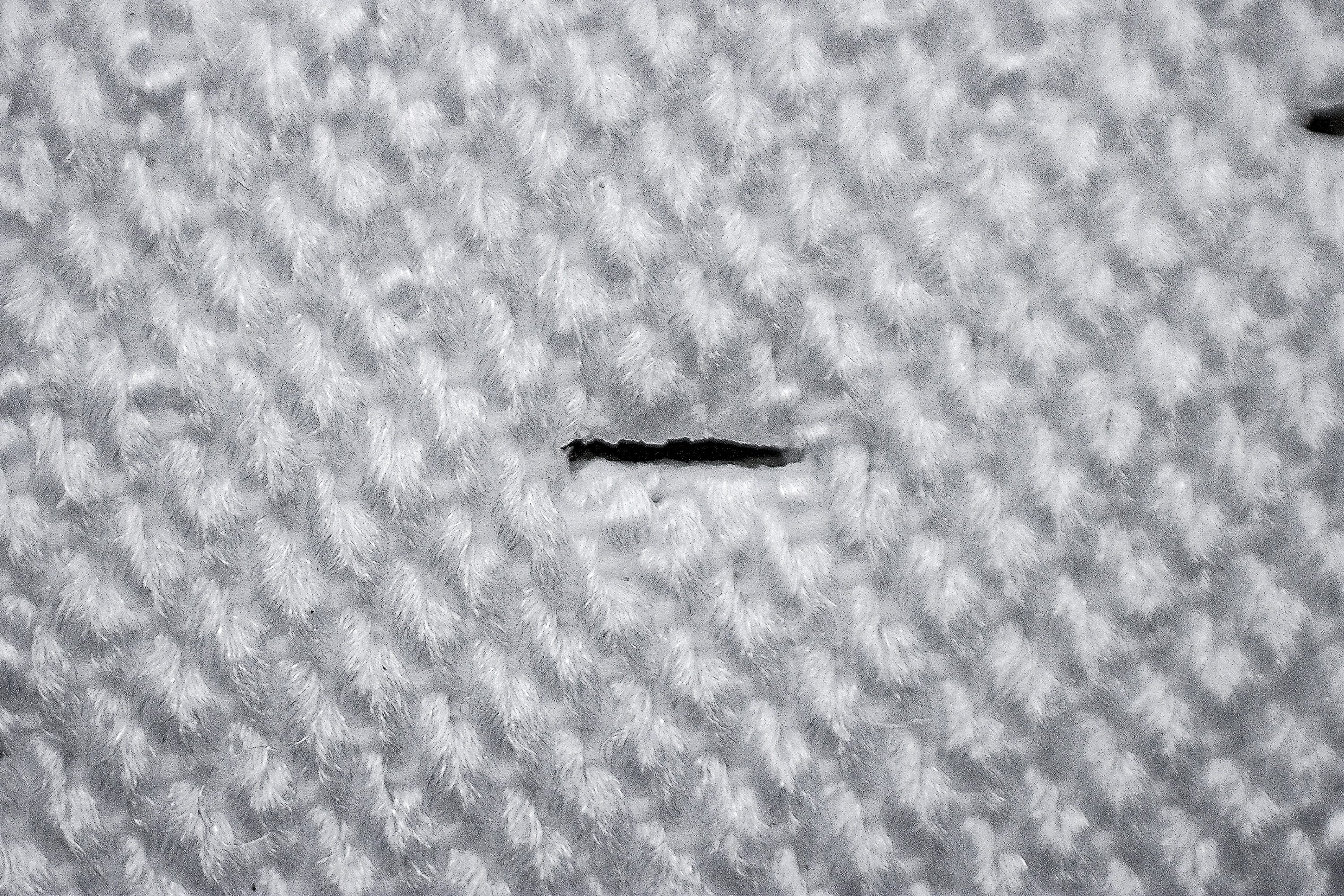 Adidas Supernova Rise 3 mesh