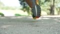 adidas Terrex Agravic Speed Ultra 2 run