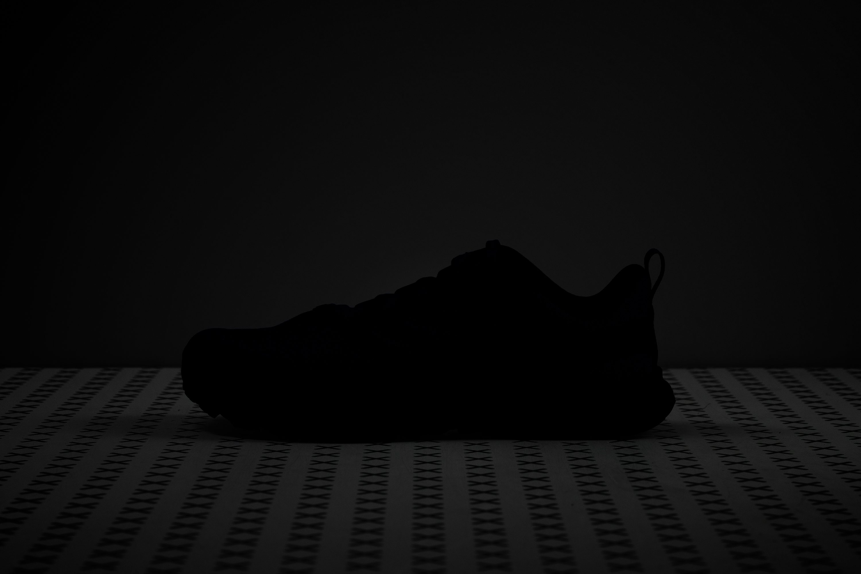 Inov8 TrailFly Speed v2 Reflective elements