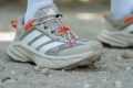 adidas Terrex Freehiker SL GTX Price