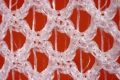 Ortuseight Solar 2.0 microscope image