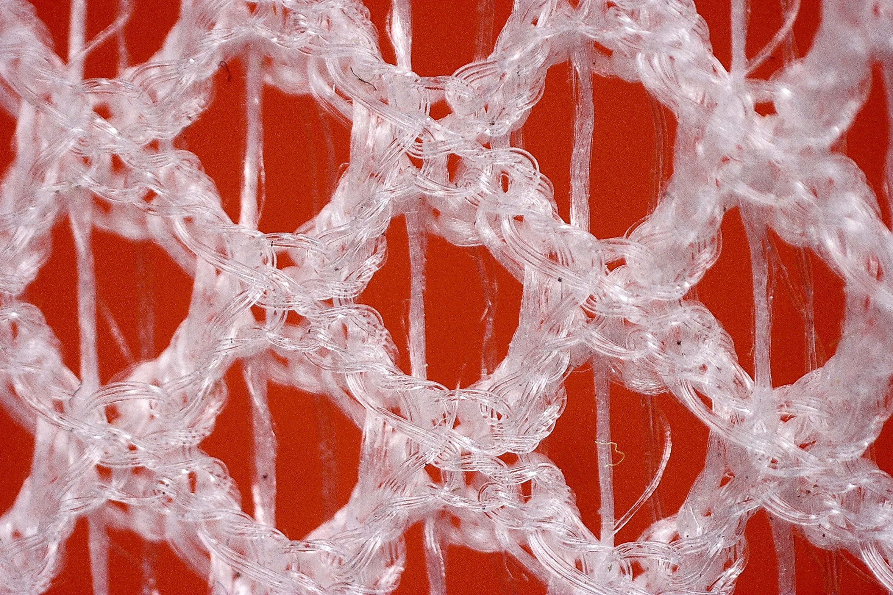 Ortuseight Solar 2.0 microscope image