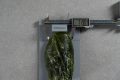 adidas Terrex Agravic SL Toebox width