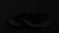 Mount to Coast M1 Reflective elements