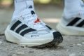 adidas Terrex Freehiker 3 Ultra GTX Price