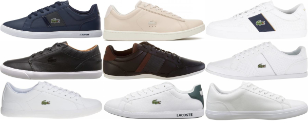 lacoste low top