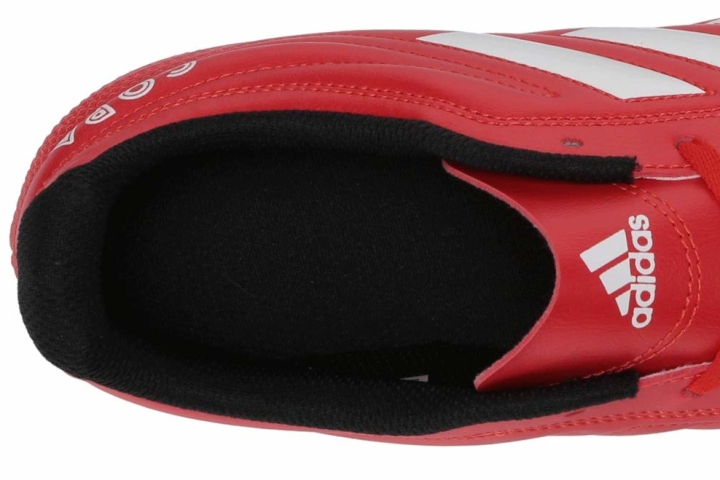 Adidas Copa 20+ Firm Ground insole