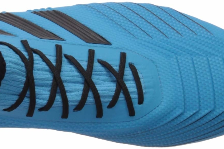 Adidas Predator 19.2 Firm Ground laces