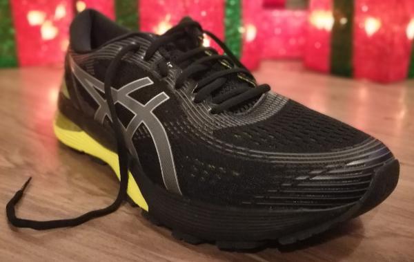 asics gel nimbus 21 recensioni