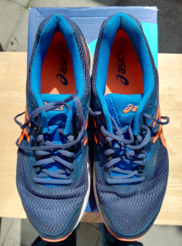 Only $84 + Review of Asics Gel Pulse 9 