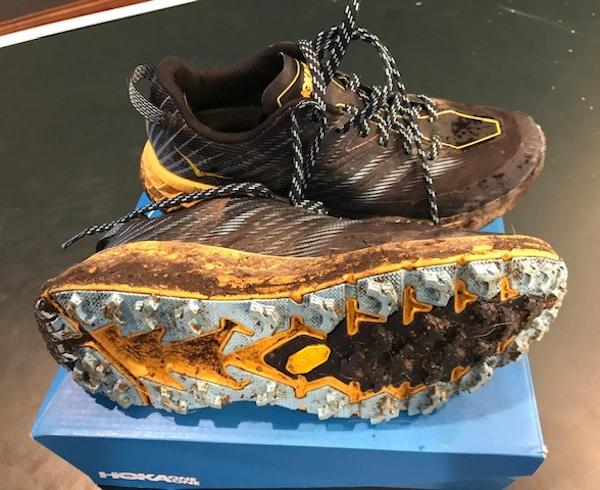 hoka speedgoat 4 amazon