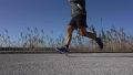 adidas-questar-ride