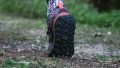 altra-lone-peak-7-grip