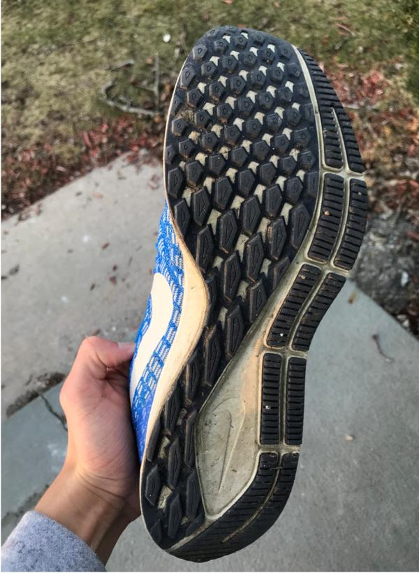 pegasus 35 durability