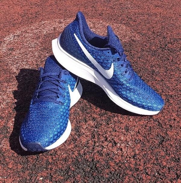 pegasus 35 blue