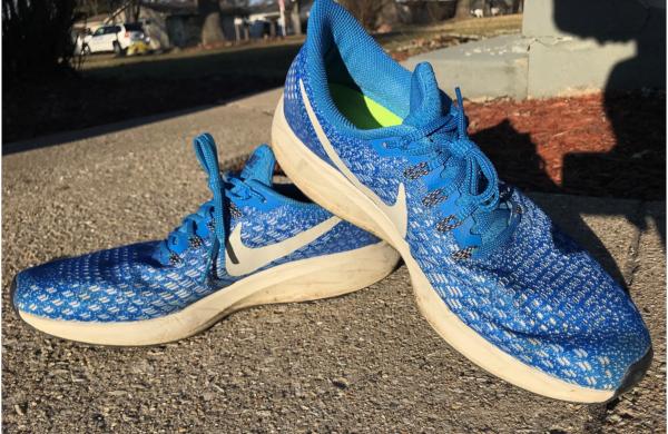 nike pegasus 35 blue