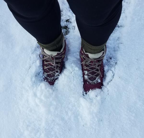 women's oboz sapphire waterproof mid hikers