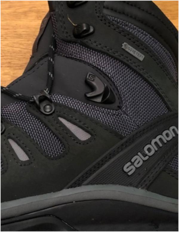 Salomon Quest 4D 3 GTX Facts, Deals ($210) | RunRepeat