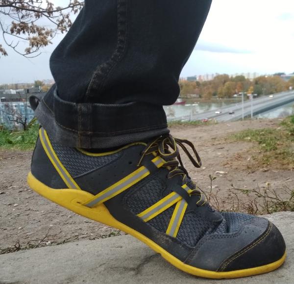 xero prio sizing