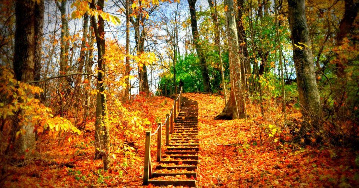Dayton-Hikes Dayton-Hikes